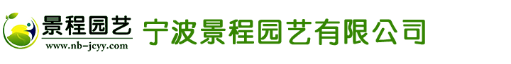 合肥金尼克醫(yī)療科技有限公司官網(wǎng)